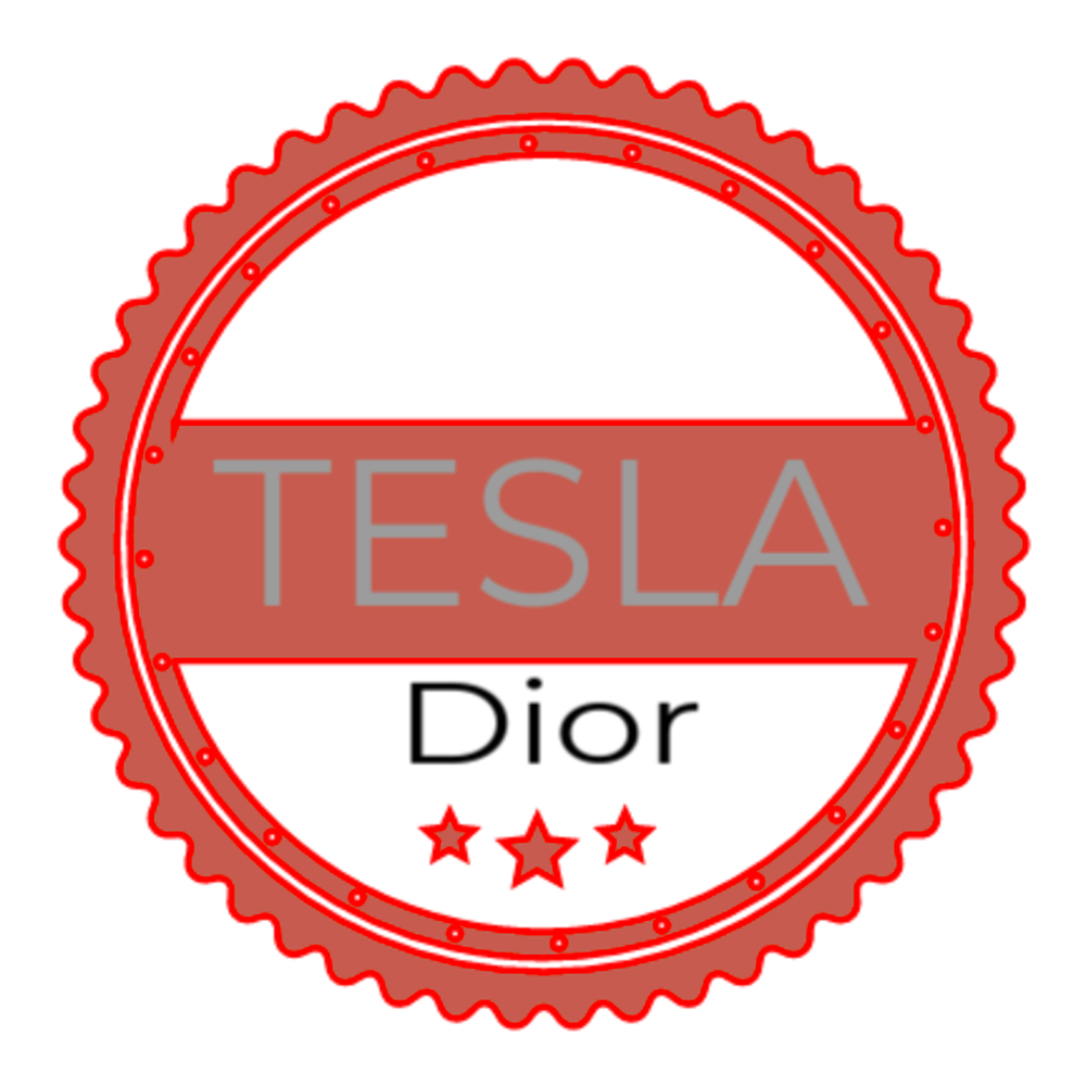 Tesla Solar Vs. Momentum Solar: Which Company Is Better? (2024) - EcoWatch